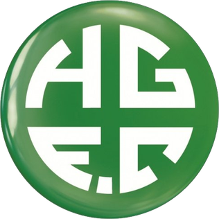 <span class="mw-page-title-main">Holmer Green F.C.</span> Association football club in England