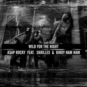 <span class="mw-page-title-main">Wild for the Night</span> 2013 single by ASAP Rocky featuring Skrillex and Birdy Nam Nam