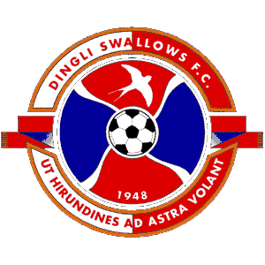 <span class="mw-page-title-main">Dingli Swallows F.C.</span> Football club