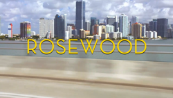 <i>Rosewood</i> (TV series) TV series