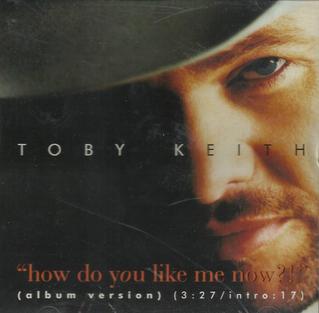 <span class="mw-page-title-main">How Do You Like Me Now?! (song)</span> 1999 single by Toby Keith