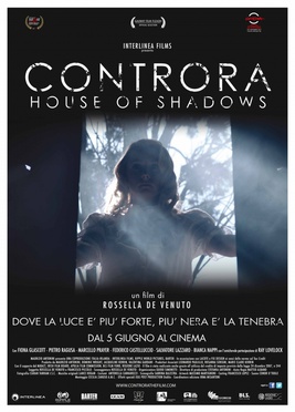 <i>House of Shadows</i> 2013 film