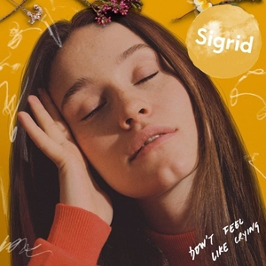 <span class="mw-page-title-main">Don't Feel Like Crying</span> 2019 single by Sigrid