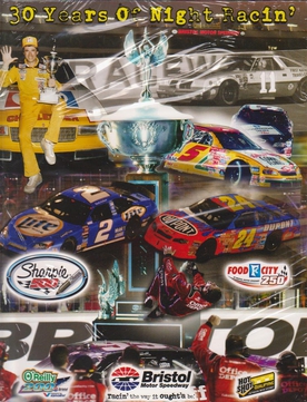 <span class="mw-page-title-main">2008 Sharpie 500</span> Motor car race