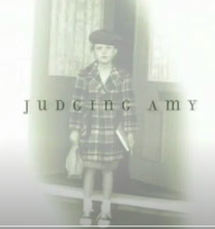 <i>Judging Amy</i> American drama television series (1999–2005)