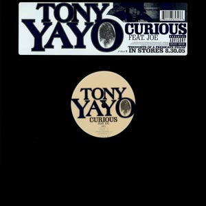 <span class="mw-page-title-main">Curious (Tony Yayo song)</span> 2005 single by Tony Yayo featuring Joe