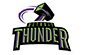 <span class="mw-page-title-main">Detroit Thunder</span> American professional indoor football team