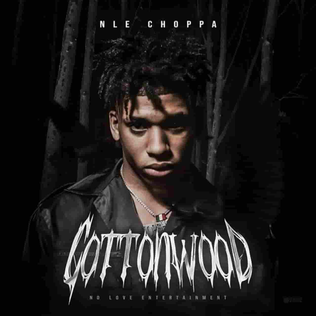 <i>Cottonwood</i> (EP) 2019 extended play by NLE Choppa