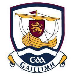 <span class="mw-page-title-main">Galway county football team</span> Gaelic football team