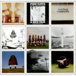 <i>A Nice Pair</i> 1973 compilation album by Pink Floyd