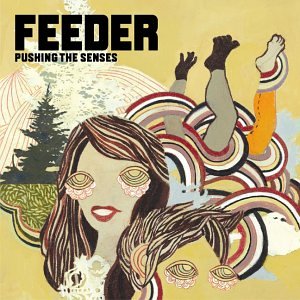 <i>Pushing the Senses</i> 2005 studio album by Feeder