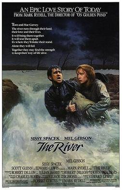 <i>The River</i> (1984 film) 1984 film by Mark Rydell