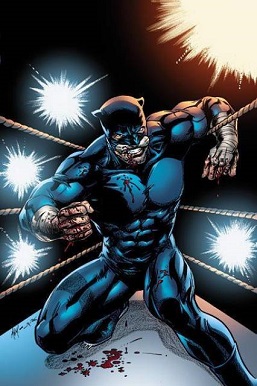 <span class="mw-page-title-main">Wildcat (Ted Grant)</span> Fictional DC Comics character