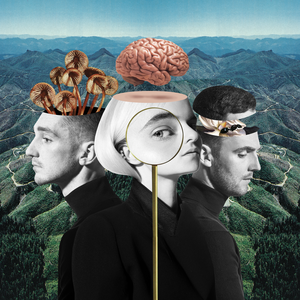 <i>What Is Love?</i> (Clean Bandit album) 2018 studio album by Clean Bandit