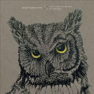 <i>Live from the Woods at Fontanel</i> 2015 live album by Needtobreathe