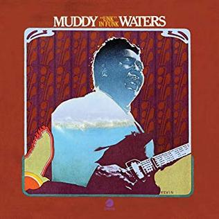 <i>"Unk" in Funk</i> 1974 studio album by Muddy Waters