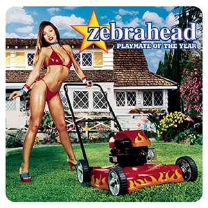 <i>Playmate of the Year</i> (album) 2000 studio album by Zebrahead