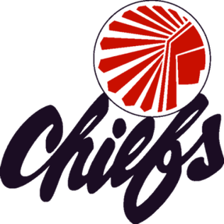 <span class="mw-page-title-main">Atlanta Chiefs</span> American professional soccer team based in Atlanta, Georgia