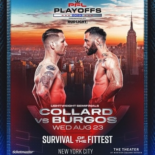 <span class="mw-page-title-main">PFL 9 (2023)</span> Mixed martial arts event