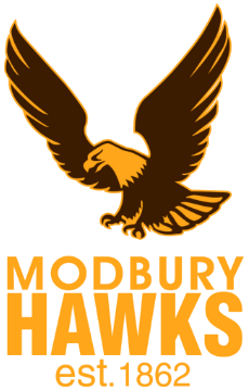 <span class="mw-page-title-main">Modbury Football Club</span>