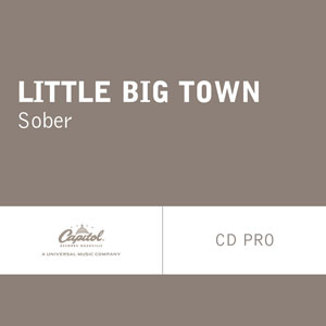 <span class="mw-page-title-main">Sober (Little Big Town song)</span> 2013 single by Little Big Town