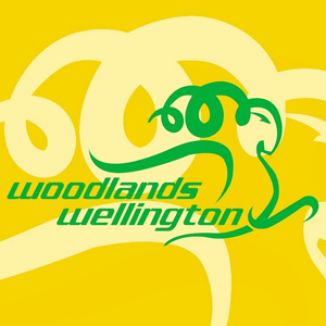 <span class="mw-page-title-main">Woodlands Wellington FC</span> Singaporean football club