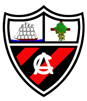 <span class="mw-page-title-main">Arenas Club de Getxo</span> Association football club in Spain