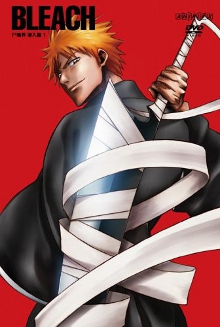 <i>Bleach</i> season 2 Season of television series