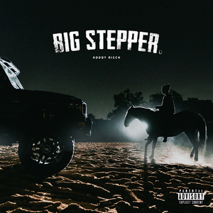 <span class="mw-page-title-main">Big Stepper</span> 2019 single by Roddy Ricch