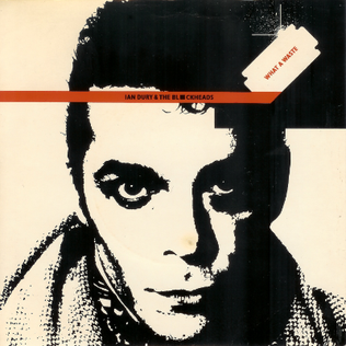 <span class="mw-page-title-main">What a Waste</span> 1978 single by Ian Dury & The Blockheads