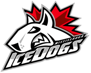 <span class="mw-page-title-main">Mississauga IceDogs</span> Ice hockey team in Mississauga, Ontario