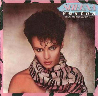 <i>Todo Me Recuerda a Ti</i> 1984 studio album by Sheena Easton