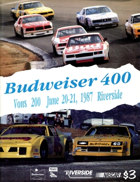 <span class="mw-page-title-main">1987 Budweiser 400</span> 13th race of the 1987 NASCAR Winston Cup Series