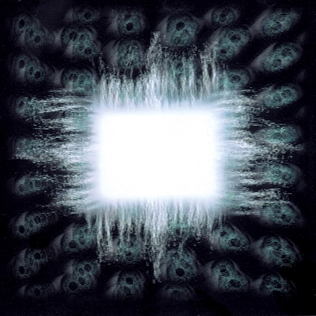 <i>Ænima</i> 1996 studio album by Tool