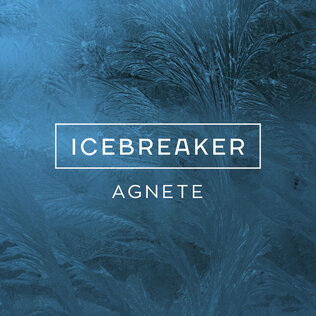 <span class="mw-page-title-main">Icebreaker (song)</span> 2016 song by Agnete