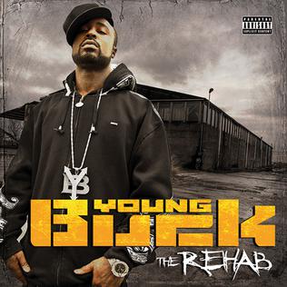 <i>The Rehab</i> 2010 studio album by Young Buck