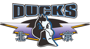 <span class="mw-page-title-main">Beijing Ducks</span> Professional basketball team in China