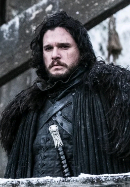 <span class="mw-page-title-main">Jon Snow (character)</span> Fictional character