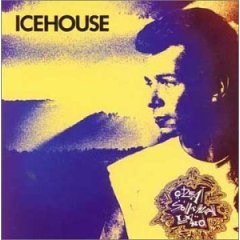 <i>Great Southern Land</i> (album) 1989 compilation album by Icehouse