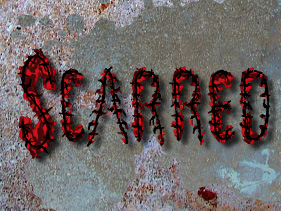 <i>Scarred</i> (TV series) 2007 reality television series