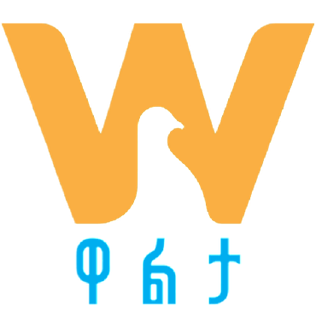 <span class="mw-page-title-main">Walta TV</span> Ethiopian television network