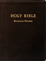 <span class="mw-page-title-main">Recovery Version</span> Modern English bible translation