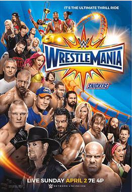 <span class="mw-page-title-main">WrestleMania 33</span> 2017 WWE pay-per-view and livestreaming event