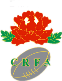 <span class="mw-page-title-main">China national rugby union team</span>