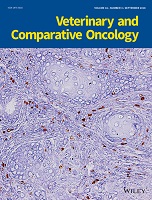 <i>Veterinary and Comparative Oncology</i> (journal) Academic journal