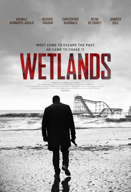 <i>Wetlands</i> (2017 film) 2017 American film