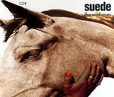 <span class="mw-page-title-main">The Wild Ones (song)</span> 1994 single by Suede