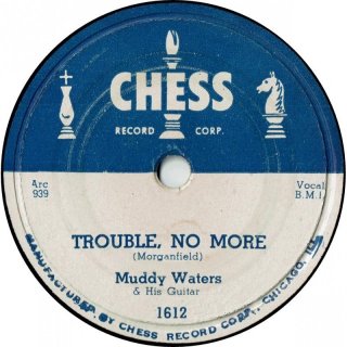 <span class="mw-page-title-main">Trouble No More (song)</span> Blues song recorded by Muddy Waters in 1955