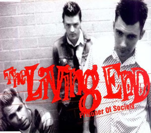 <span class="mw-page-title-main">Prisoner of Society</span> Song by the Living End