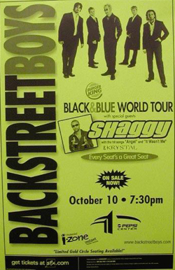 <span class="mw-page-title-main">Black & Blue Tour</span> 2001 concert tour by the Backstreet Boys